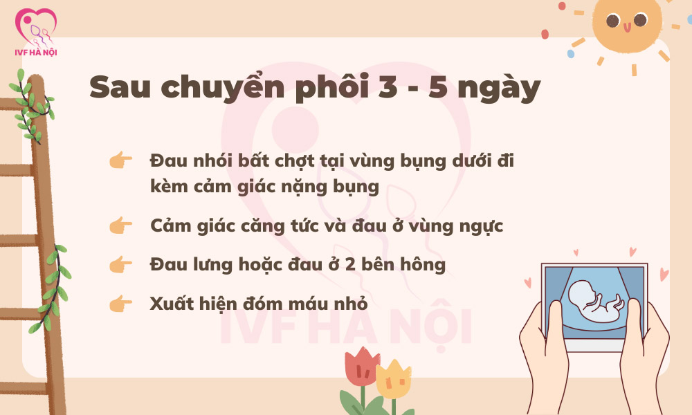 Dấu hiệu chuyển phôi thành công sau 3 - 5 ngày