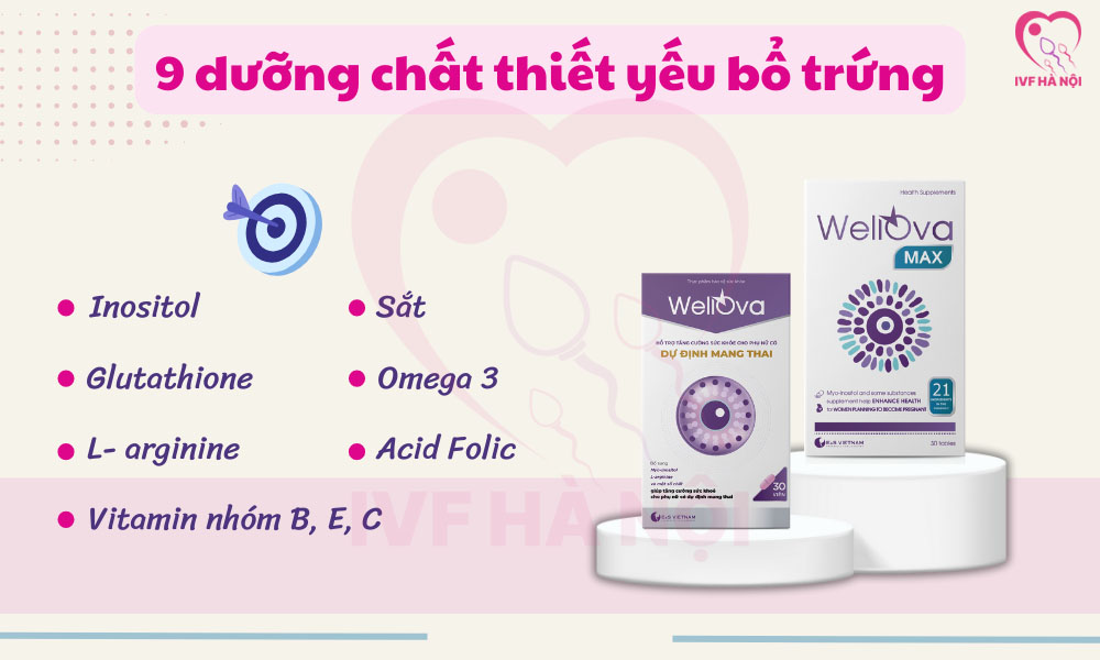 9 loại dưỡng chất quan trọng giúp cải thiện khả năng sinh sản ở nữ giới