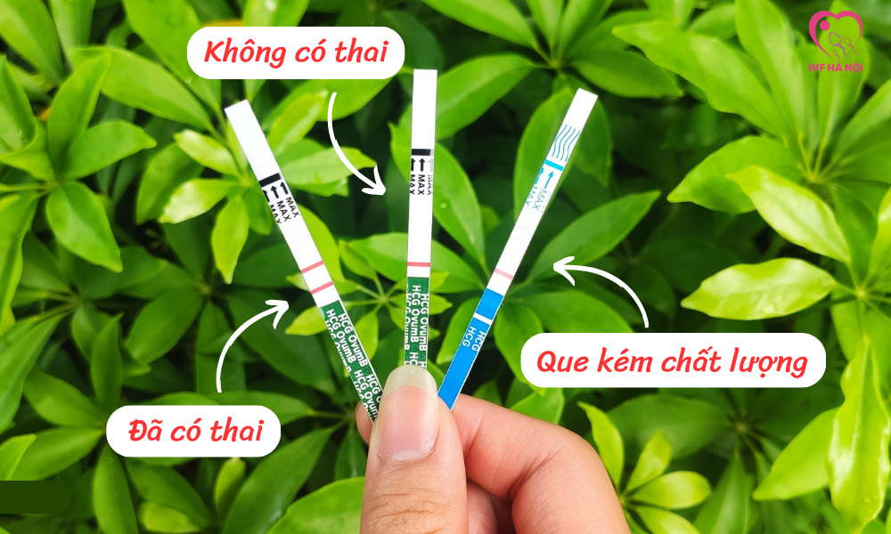 Cách đọc que thử thai chuẩn xác nhất