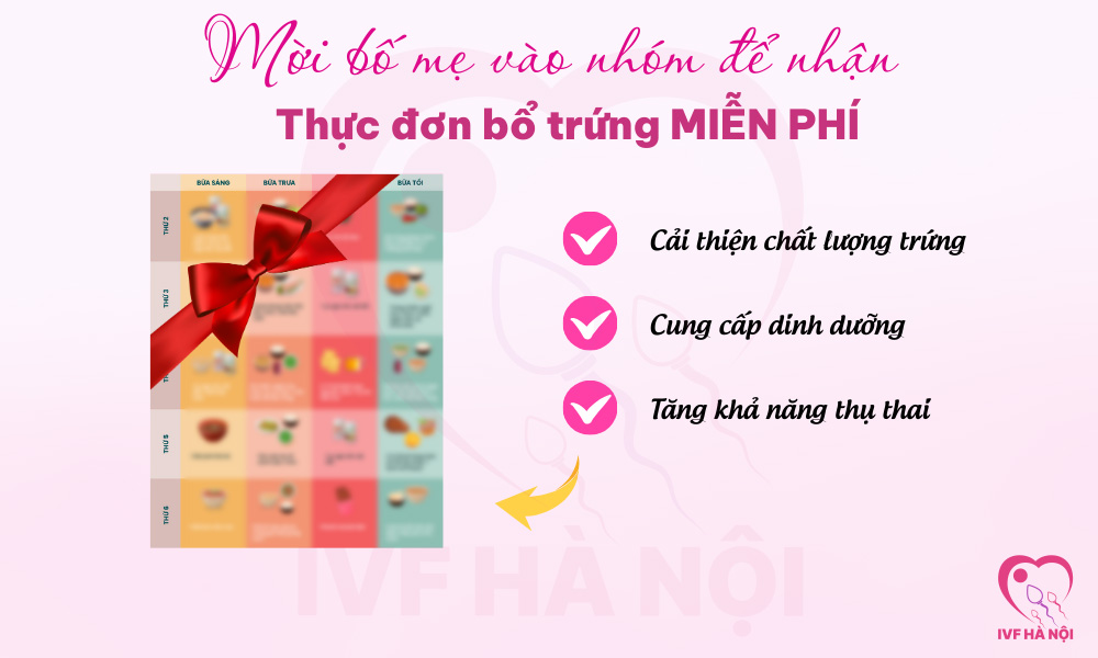Thực đơn bổ trứng Miễn Phí